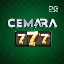 Logo cemara777